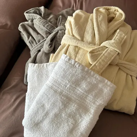 Blitzingen, Castle B1 Apartment Goms