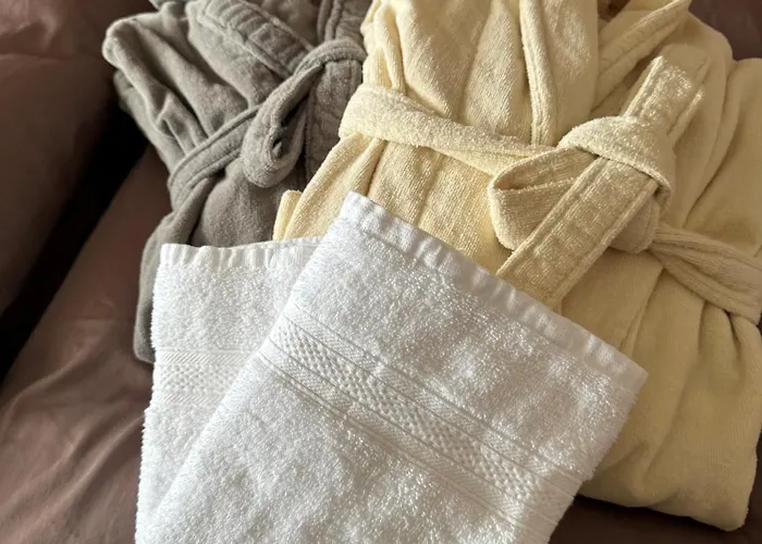 Blitzingen, Castle B1 Apartment Goms