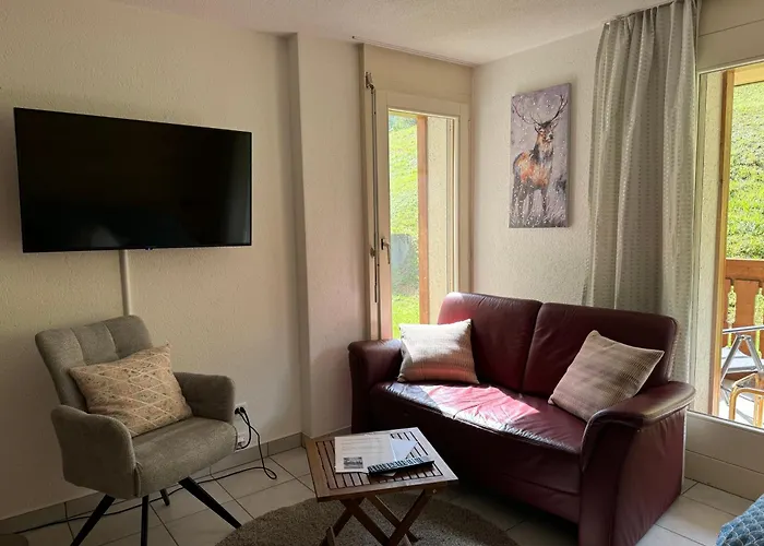 Blitzingen, Castle B1 Apartment